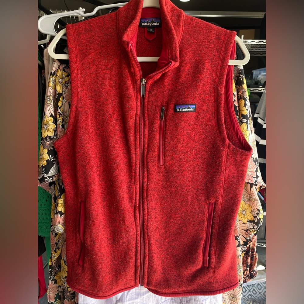 Patagonia Vest